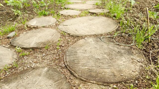 Circular log slices lie flat on the ground to map out a rustic garden trail. The surrounding air carries the gentle melody of singing birds and a low city hum.