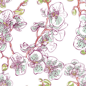 Orchid. Vector hand-drawn illustration. Lovely parasite flower. Exotic flower with aerial roots. Seamless pattern.