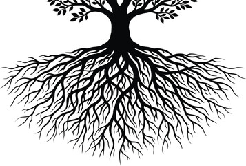 Tree with exposed roots and branches on transparent background © Badhon