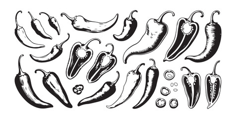 Set of chili peppers vector black and white hand drawn sketch doodle hot natural food seasoning ingredient. © Sen