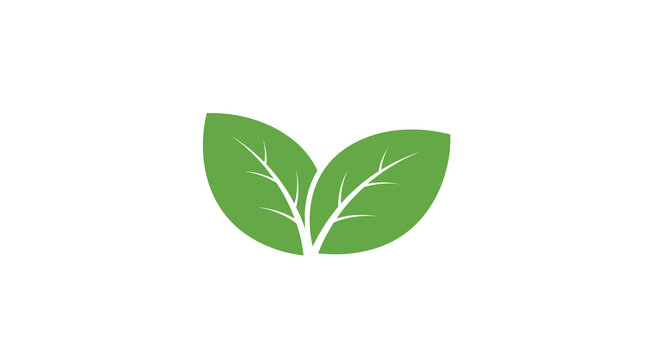 Eco twin green leaves icon representing organic nature and sustainability. Minimalist vector illustration for vegan diet and vegetarian lifestyle symbol isolated on white background.
