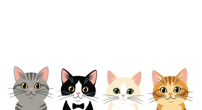 Row of four different cat heads including gray tabby tuxedo calico and ginger breeds looking forward on a white background.