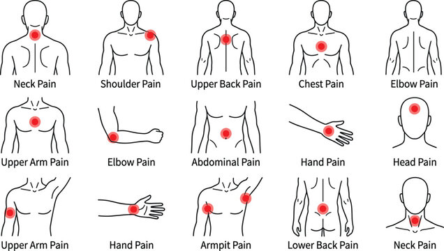 Human Body Pain Location Diagram Set Showing Neck, Shoulder, Back, Chest, Elbow, and Abdominal Pain Areas for Medical Illustrations