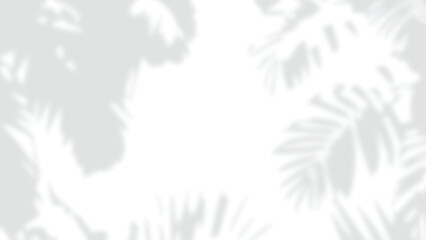 Obraz premium Palm leaf shadow overlay PNG, tropical fronds framing center on transparent background for mockups and branding