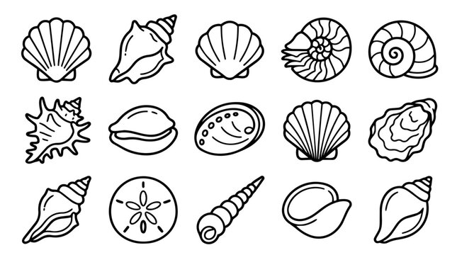Marine Shells and Ocean Creatures Outline Icon Set
