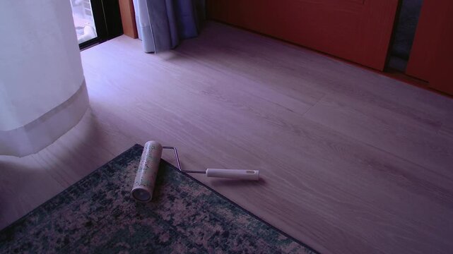 Cleaning with a lint roller in a tidy home setting, gentle breeze and signs of careful daily living for household care and lifestyle use