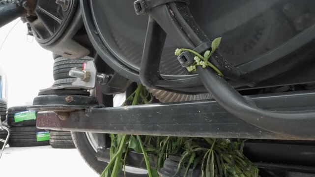 Grass entangled undercarriage chassis hazard with hose and strap roadside cleanup scenario showing leaves, stems and twine wrapped around axle and brake area, safety concern for operator, urgent