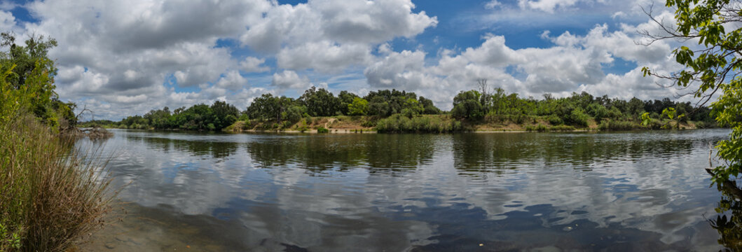 Panorama of American River Shoreline in Rancho Cordova