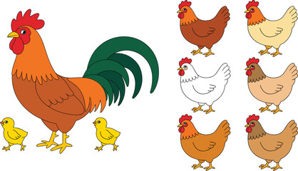 Cute Cartoon Farm Poultry Set with Big Colorful Rooster Yellow Baby Chicks and Various Hens Isolated on White Background for Farmhouse Decor and Education © Ismail
