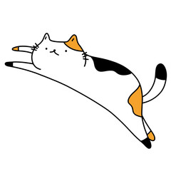 hand drawn illustration of a cute cat is jumping © Amol