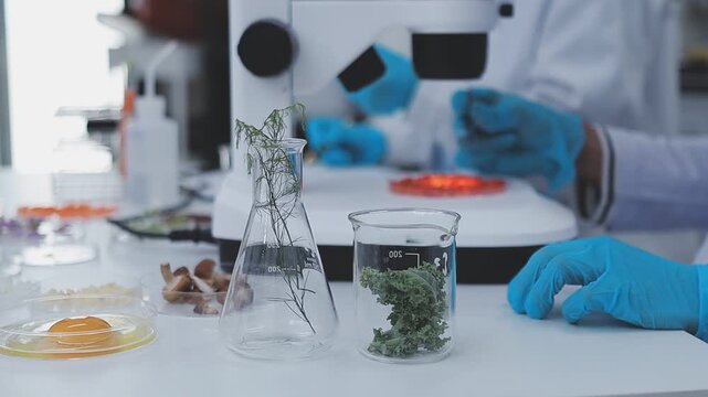 Close up scene of researcher examining alternative protein powder in sterile lab conditions with organized instruments promoting eco forward food innovation for sustainable biotechnology and nutrition