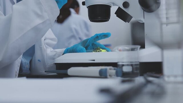 Close up scene of researcher examining alternative protein powder in sterile lab conditions with organized instruments promoting eco forward food innovation for sustainable biotechnology and nutrition