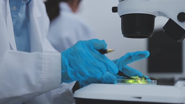 Close up scene of researcher examining alternative protein powder in sterile lab conditions with organized instruments promoting eco forward food innovation for sustainable biotechnology and nutrition