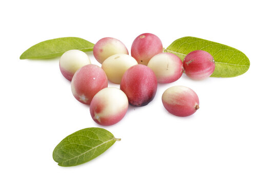 Pile of Karonda Fruit, Carissa carandas L. Karanda; Carunda isolated on a transparent background