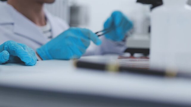 Close up scene of researcher examining alternative protein powder in sterile lab conditions with organized instruments promoting eco forward food innovation for sustainable biotechnology and nutrition