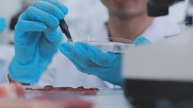 Close up scene of researcher examining alternative protein powder in sterile lab conditions with organized instruments promoting eco forward food innovation for sustainable biotechnology and nutrition