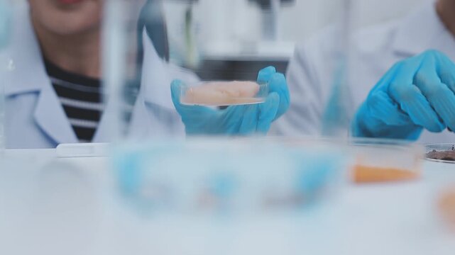Close up scene of researcher examining alternative protein powder in sterile lab conditions with organized instruments promoting eco forward food innovation for sustainable biotechnology and nutrition