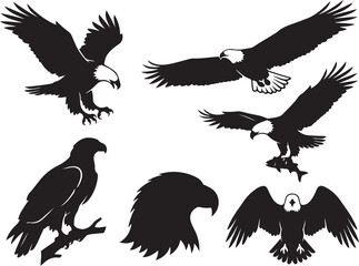 Obraz premium Black eagle silhouettes, flying birds, wildlife icons, vector graphics