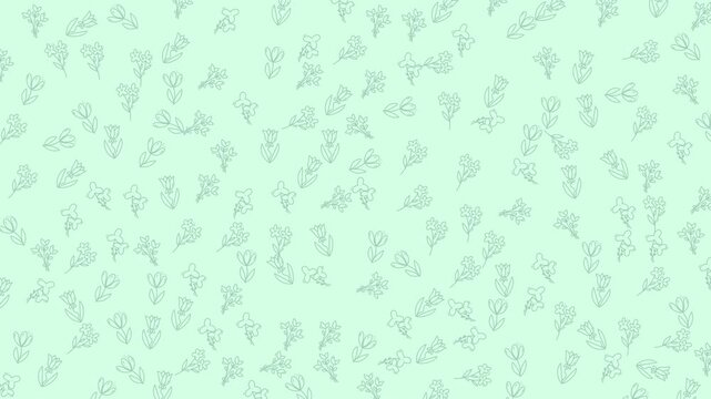 A seamless video background featuring hand-drawn delicate floral outlines on a soothing pastel mint green, perfect for various design projects, presentations, and calming visual content.