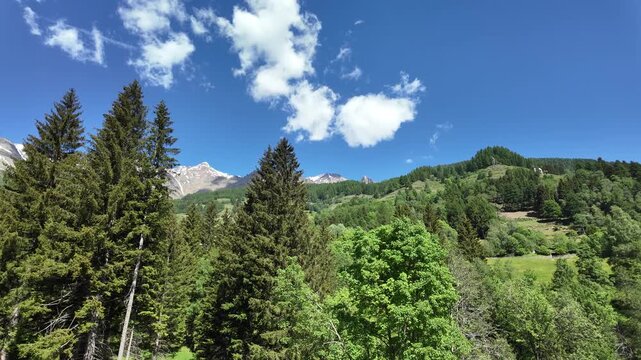 val di pejo montagna trentino 