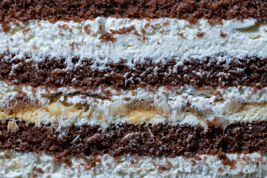 Chocolate sponge cake cross section layers texture macro. Closeup full frame view of delicious multi layered chocolate cake with white cream and fruit filling