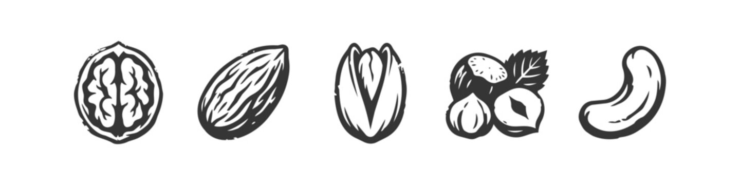 Assorted Nuts Hand Drawn Distressed Vector Icon Set