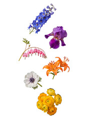 Fototapeta premium Assortment of vibrant garden flowers, including delphinium, iris, and lily, isolated on transparent.
