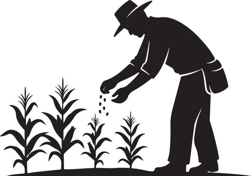 Black silhouette of man planting seeds in cornfield farmer