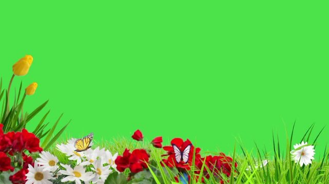 Spring flowers and tulips border in a sunny meadow with butterflies and green grass