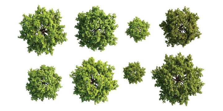 Set of green trees viewed from above for architectural design and landscape planning