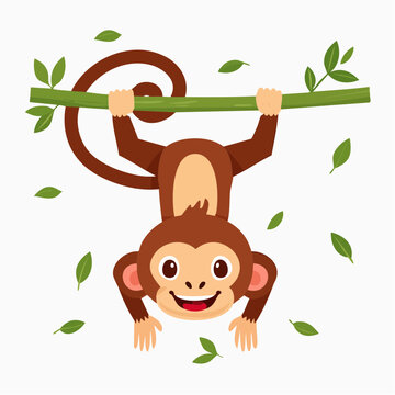Cute Monkey Hanging Upside Down on a Branch