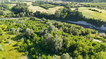Obraz premium Aerial View of Tanaro River Winding Through Lush Forest and Farmland