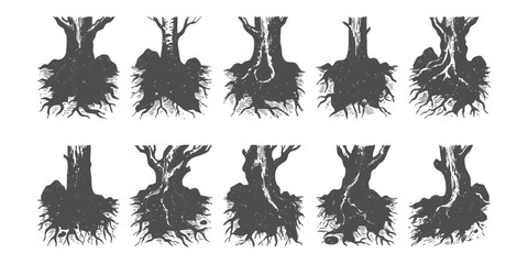 Set of ten hand drawn tree trunks with roots showing detailed wood texture in a classic vintage sketch style © ZenVectors