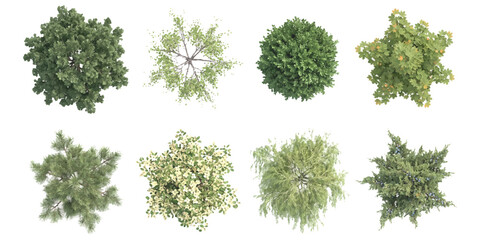 Set of eight green trees viewed from above for architectural design and landscape planning © md