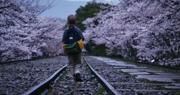 Lone child with backpack walking down old tracks with surrounding spring cherry blossom trees - tilt, wide shot