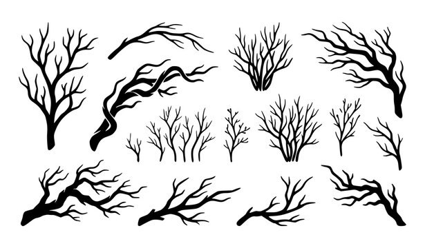 Dead Tree Branch Silhouette Collection for Nature and Halloween Designs