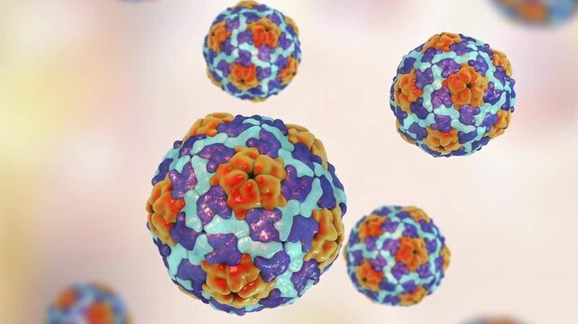 Hepatitis A virus particles, 3D animation showing slowly rotating non-enveloped virions, illustrating RNA virus causing acute liver infection.