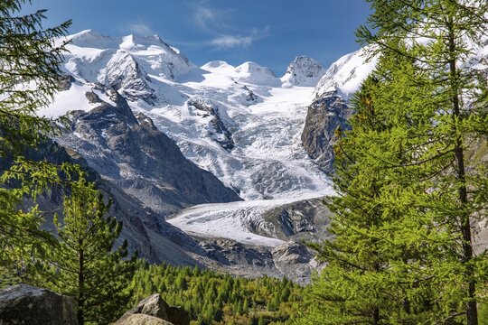 Morteratsch Valley with Bellavista and Morteratsch Glacier, Pontresina, Bernina Alps, Upper Engadine, Engadine, Grisons, Switzerland