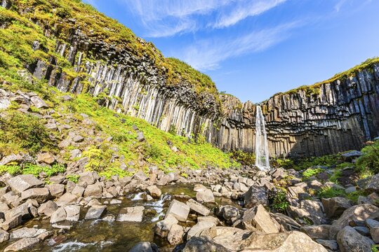 Svartifoss, Skaftafell National Park, Sudurland, South Iceland, Iceland