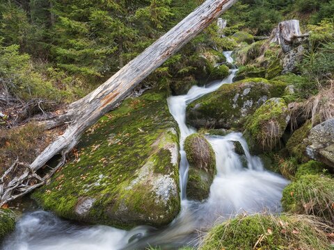 The Kreuzbach, small mountain stream flows over stones covered with moss, Bavarian Forest, Lower Bavaria, Bavaria, Germany