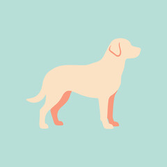 Fototapeta premium A minimalist illustration of a standing dog on solid background