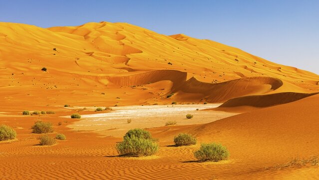 Wind-sculpted curved sand dunes with green vegetation, in the Rub al Khali desert, Dhofar province, Arabian Peninsula, Sultanate of Oman