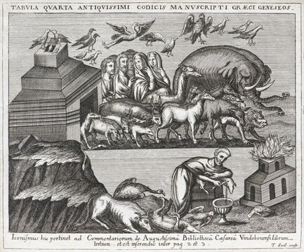 Noah and the animals leave the ark, copperplate engraving by Tobias Sadeler, around 1680