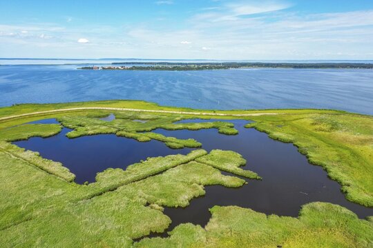 Aerial view, drone photo: lagoons and reeds on the island Riether Werder, Rieth, in the background the village Nowe Warpno, nature park Park Am Stettiner Haff, Mecklenburg-Vorpommern, Germany