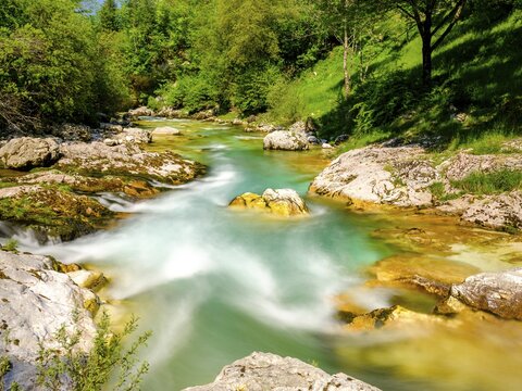 Emerald green Soca River, Soca Valley, Triglav National Park, Bovec, Slovenia