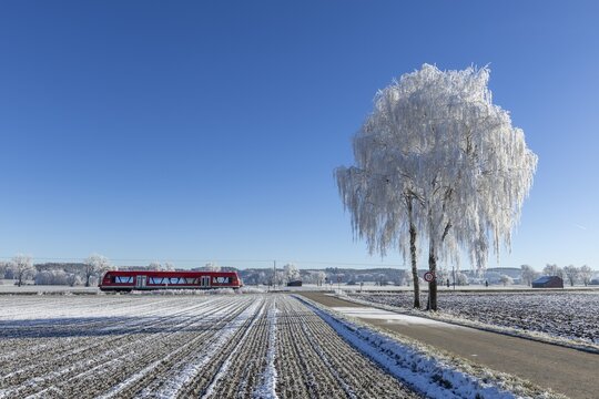 Red train travelling through snow-covered fields next to an icy tree under a clear sky, hoarfrost in Unterallg&auml;u, Bavaria, Germany
