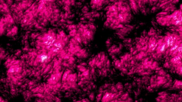 Organic Flesh Pulse Journey - Part 03 of 10 - Seamless