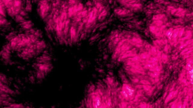 Organic Flesh Pulse Journey - Part 05 of 10 - Seamless