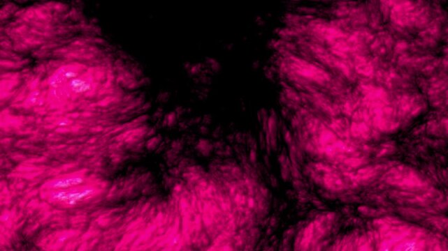 Organic Flesh Pulse Journey - Part 06 of 10 - Seamless