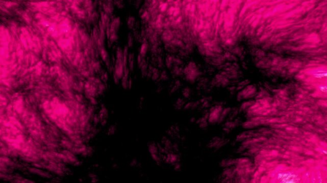 Organic Flesh Pulse Journey - Part 08 of 10 - Seamless